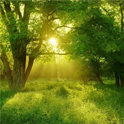 竞彩足球app官网下载